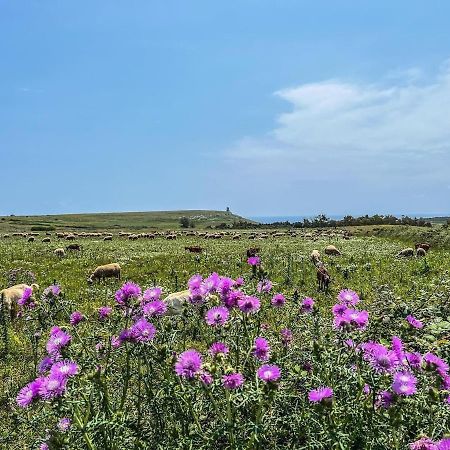 Casetta Degli Ulivi 우기아노 라 치에사 외부 사진