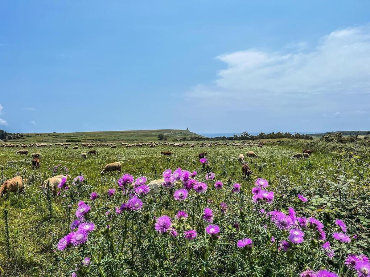 Casetta Degli Ulivi 우기아노 라 치에사 외부 사진